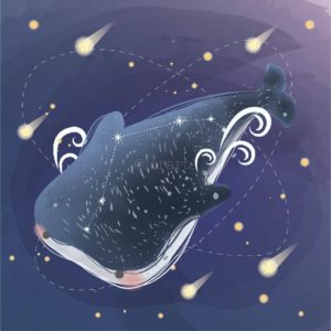 Baby Whale Shark Flying in Galaxy-image